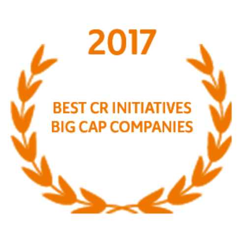 Best CR Initiatives Big Cap Companies