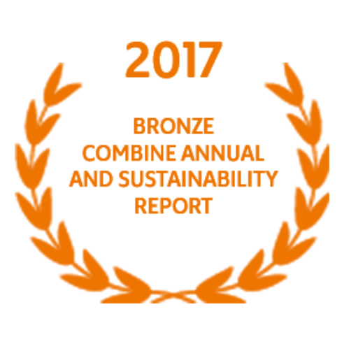 Bronze Combined Annual and Sustainability Report